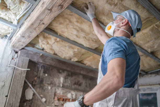 Best Insulation Maintenance and Repair in Lake Lakengren, OH