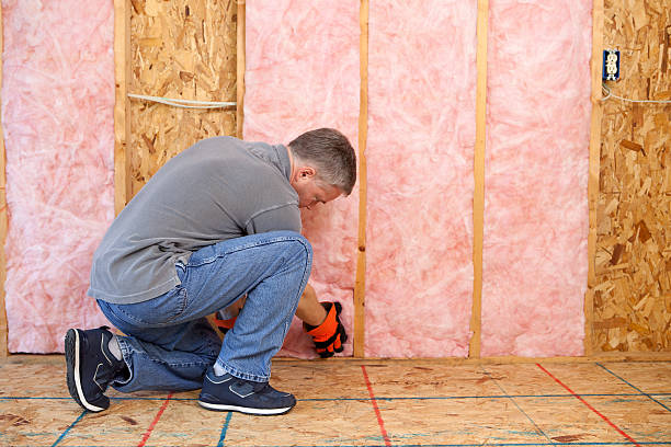 Best Residential Insulation in Lake Lakengren, OH