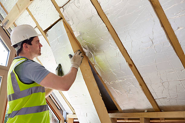 Best Residential Insulation in Lake Lakengren, OH